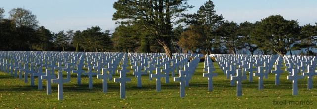 1505089_605756949472271_202679201_n