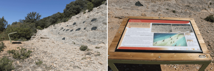 Estrat amb les petjades de dinosaures d'Orcau 2 i detall de la taula interpretativa.
